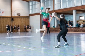 Bild 97 - wDJ HSG Kremperheide/Muensterdorf - TSV SR Schuelp : Ergebnis: 26:5